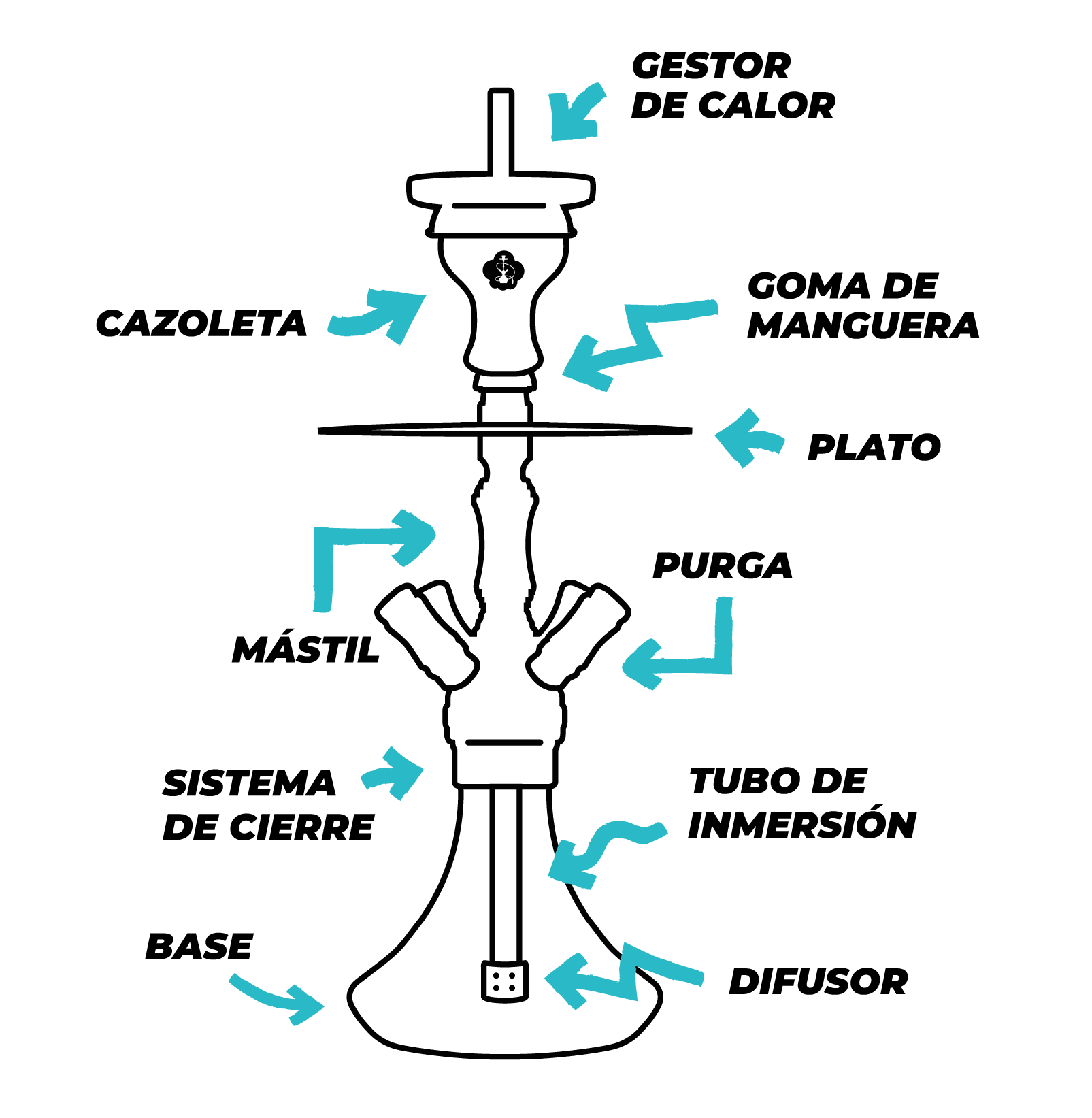 Partes de una cachimba